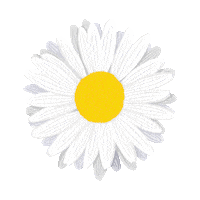 Art Design Sticker by Bianca Bosso