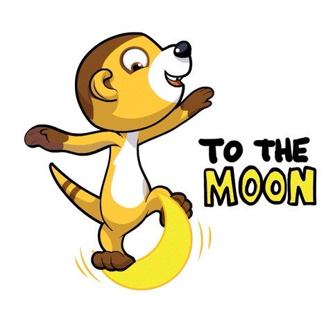 To The Moon GIF by GaryVee