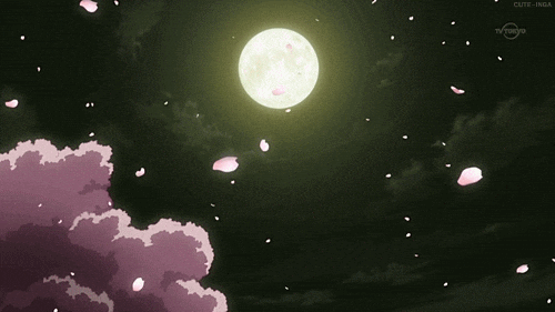 Cherry Blossom Night GIF
