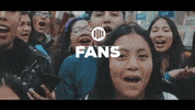 Fans Fandom GIF by Alternativa Representa
