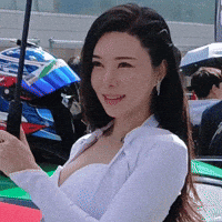 Model GIF