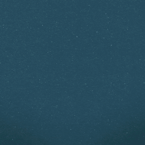 CallMeKatFOX mayim bialik call me kat callmekatfox GIF