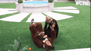 bbuk big brother reality tv cbb celebrity big brother GIF