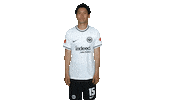 Turn Sge Sticker by Eintracht Frankfurt