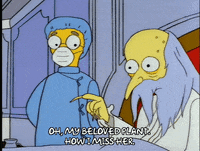 season 5 episode 10 GIF