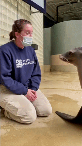 Trainer and Sea Lion Demonstrate 'Strong Bond' 
