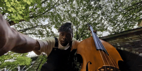 nmyron giphyupload GIF