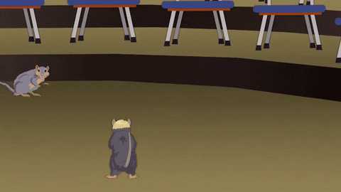hamster fighting GIF by South Park 