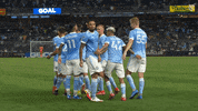 Major League Soccer Reaction GIF by NYCFC