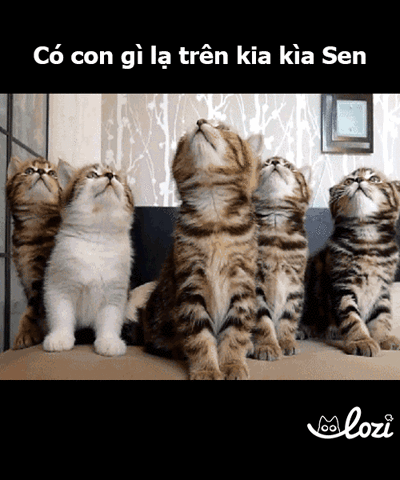 duong-gif13 GIF by Lozi Singapore Co.