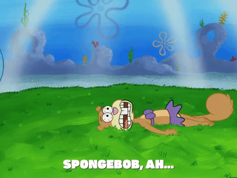 season 5 episode 10 GIF by SpongeBob SquarePants