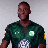 france football GIF by VfL Wolfsburg