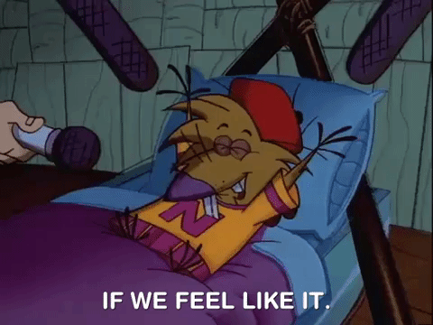 nickrewind giphydvr nicksplat angry beavers giphyab015 GIF