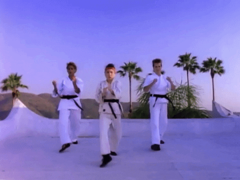 Kick Karate GIF by Beastie Boys