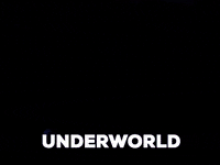 underworldlive festival live rave crowd GIF