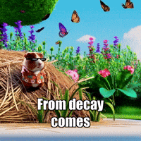 Wisdom Acceptance GIF by Guinea Gambino
