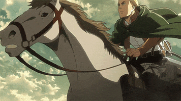 horse erwin GIF by Funimation