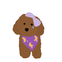 Sad Toy Poodle Sticker