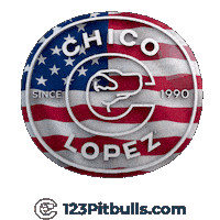 Pitbull Apbt Sticker by Chico Lopez