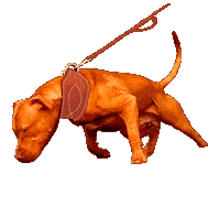 Pitbull Apbt Sticker by Chico Lopez