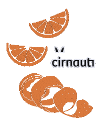 Orange Sticker