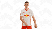 Dance Dancing GIF by RB Leipzig