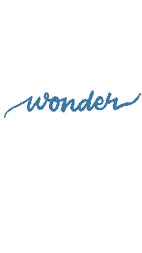 Shawn Mendes Calligraphy Sticker