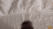 tired over it GIF by BrownSugarApp