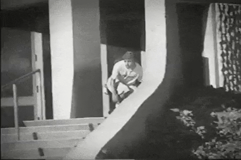 dudeinbk giphyupload cab steve caballero GIF