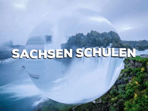 Laugh Smile GIF by PrivatschulenPORTAL.de