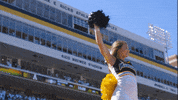 AppState app state appstate appalachian state GIF
