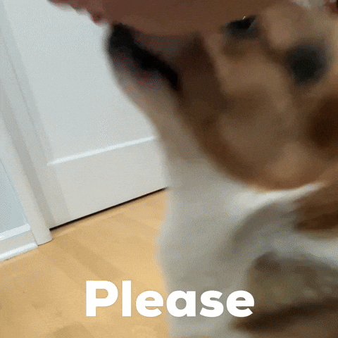 Dog Please GIF
