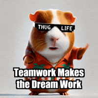 Teamwork Makes The Dream Work GIF by Guinea Gambino