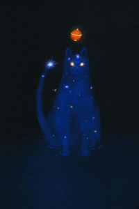 Blue Cat Art GIF by Daniel Barreto