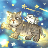 Starry Night Cat GIF