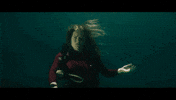 Shark Week GIF by Signature Entertainment