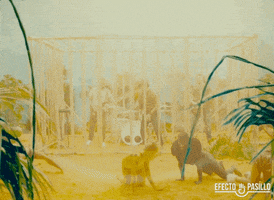 happy efecto pasillo GIF