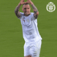 Sporting Pro League GIF by KSC Lokeren-Temse
