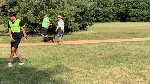 GIF by Oxford Scholastica