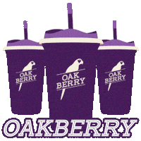 oakberryturkiye vegan smoothie beverage superfood Sticker