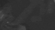 right on you GIF by Benjamin Booker