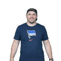 Football Wow Sticker by Hertha BSC