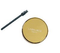 Lashlines lashes brows brow wimpers Sticker