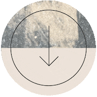 Illustration Hello Sticker by Ludlow Kingsley