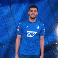 Sport Bundesliga GIF by TSG Hoffenheim