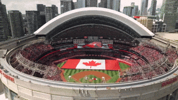 Blue Jays Baseball GIF by Toronto Blue Jays