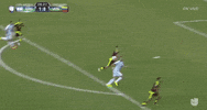 copa america centenario argentina GIF by Univision Deportes