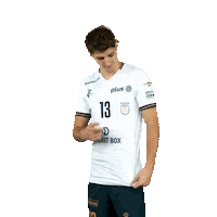 Celebration Volleyball Sticker by Projekt Warszawa