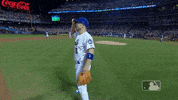 crowd david GIF by MLB