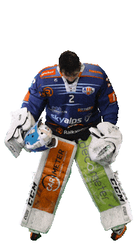 Ice Hockey Sport Sticker by Rittner Buam